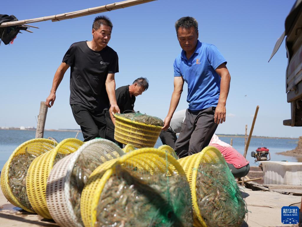 中国游戏中心